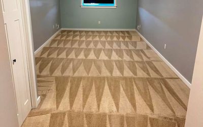 Carpet Cleaning Company Near Me